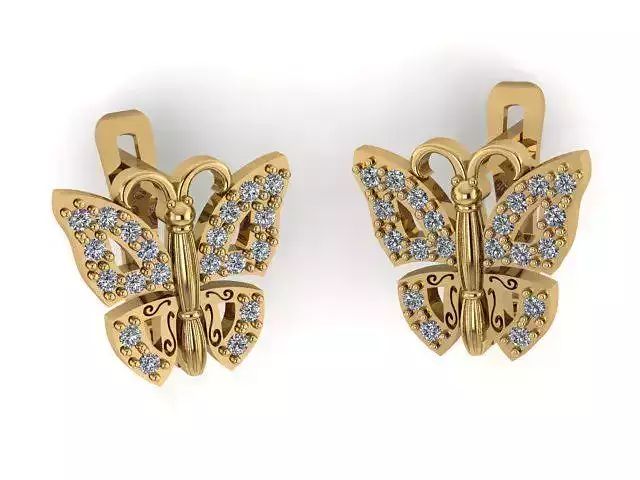 Earrings T00979
