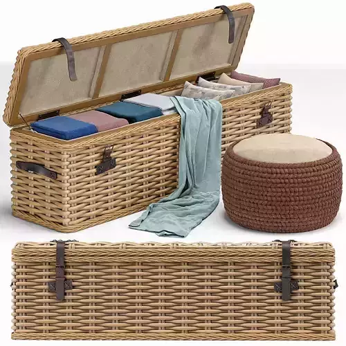 Brenna Leather Accent Woven Rattan Trunk