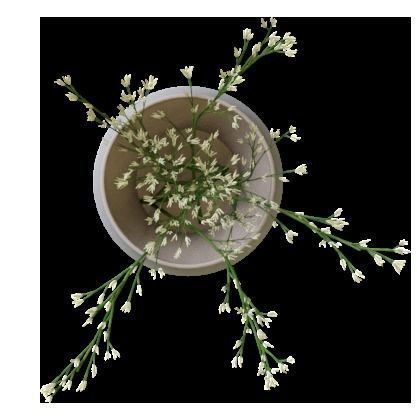 Cutouts collection abstract rug Texture_11