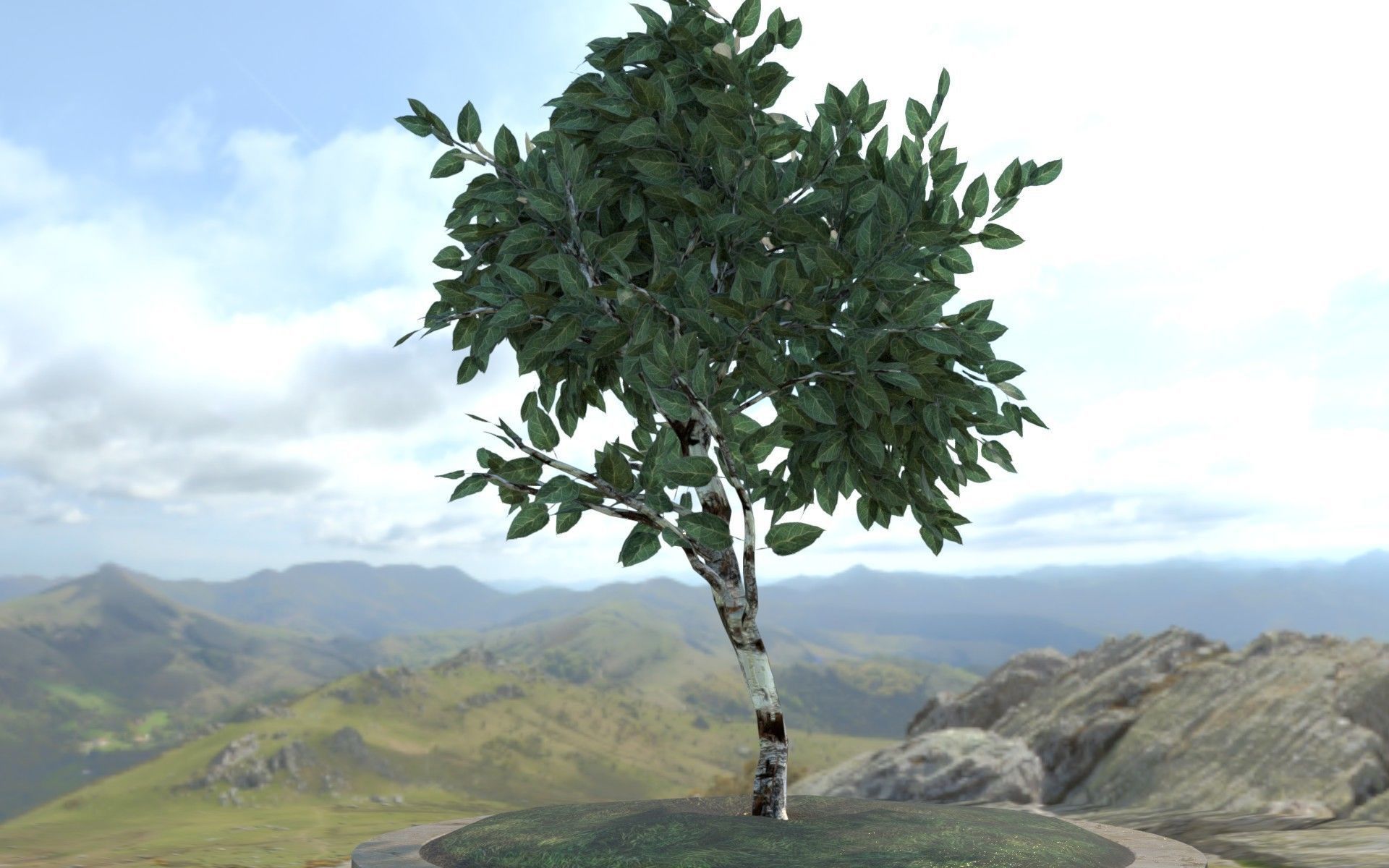 small tree in pot Low-poly 3D model_3