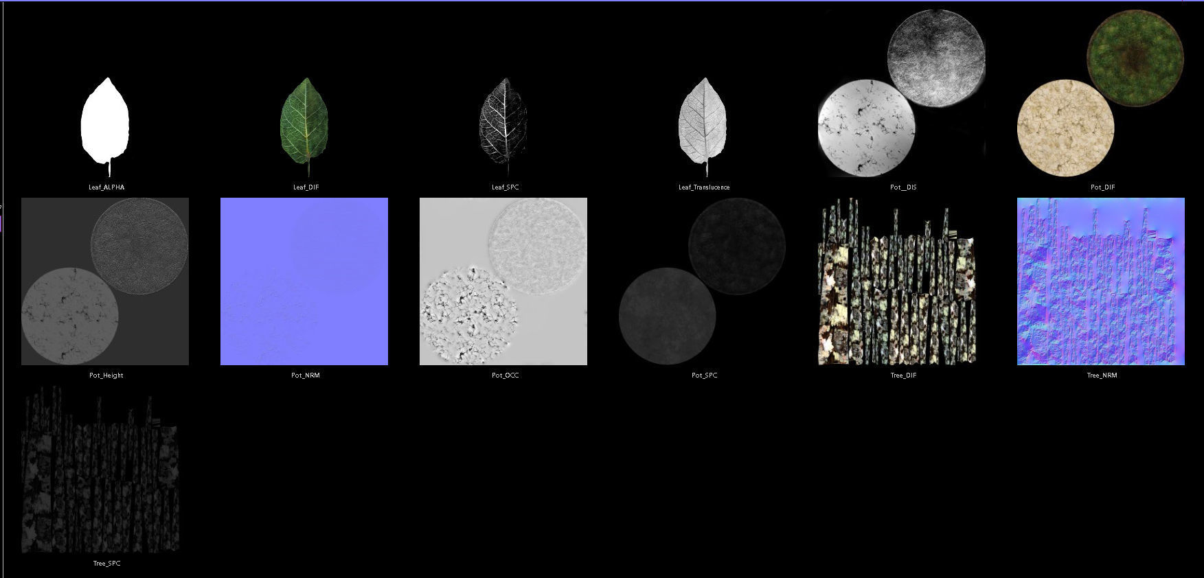 small tree in pot Low-poly 3D model_8