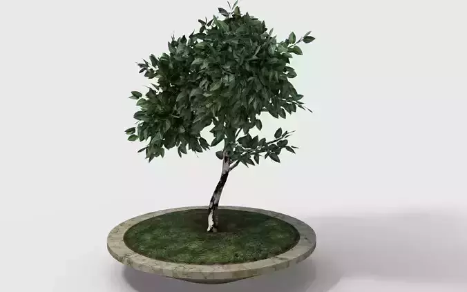 small tree in pot Low-poly 3D model