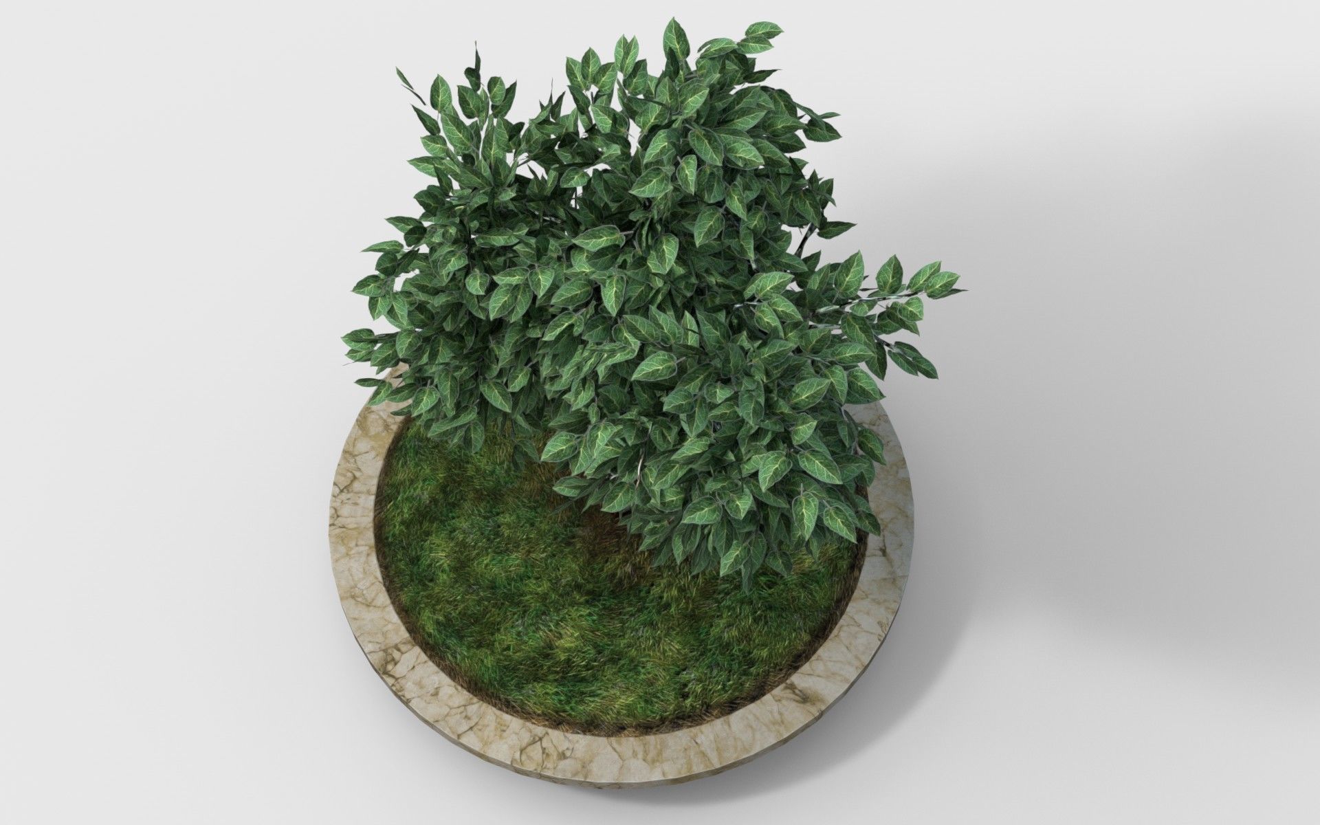 small tree in pot Low-poly 3D model_2