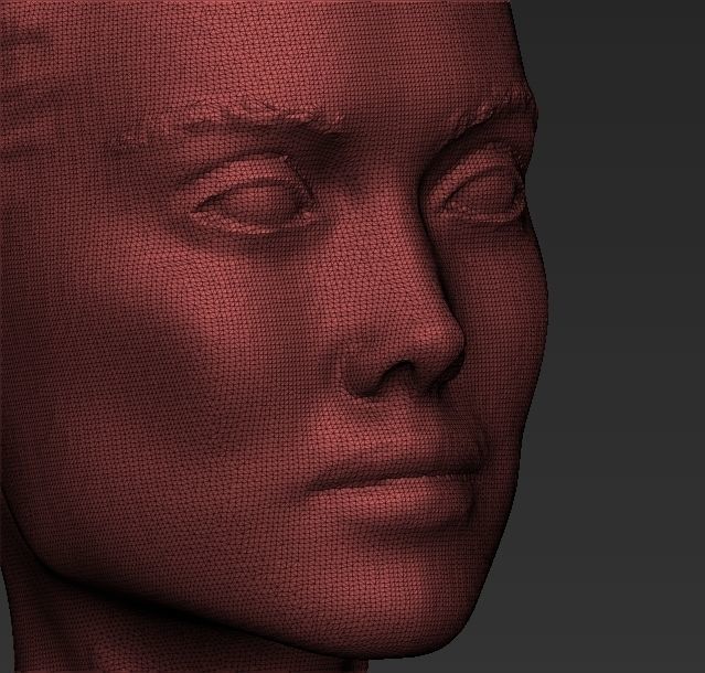 Celebrities Pack Jolie Pitt Stone Gosling Kardashian 3D printing 3D print model_111