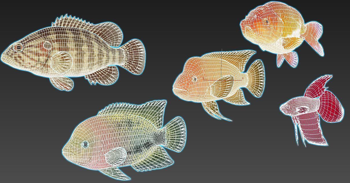 Fish Collection 01 Low-poly 3D model_13