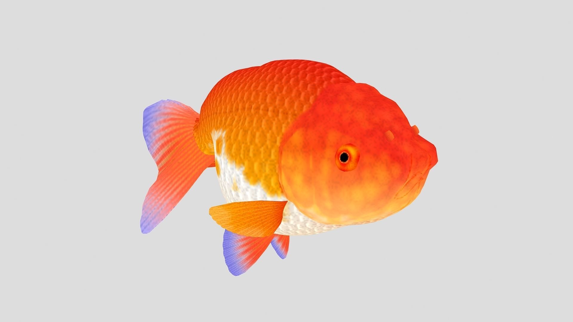 Fish Collection 01 Low-poly 3D model_11