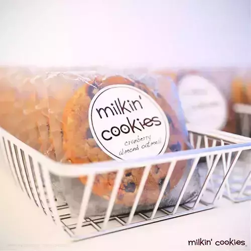 Milkin Cookies 3D model