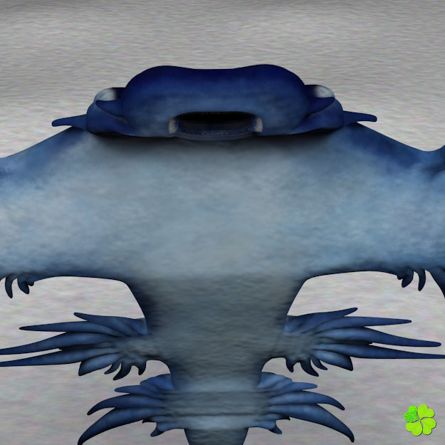 Glaucus atlanticus low poly Low-poly 3D model_13