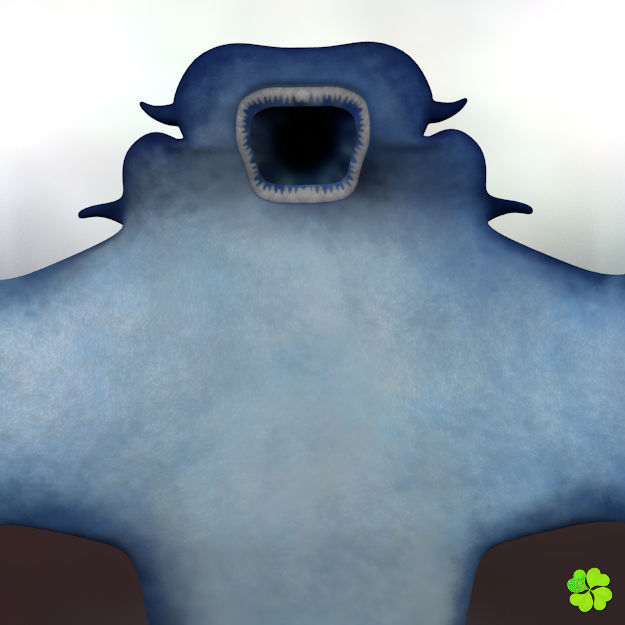 Glaucus atlanticus low poly Low-poly 3D model_8