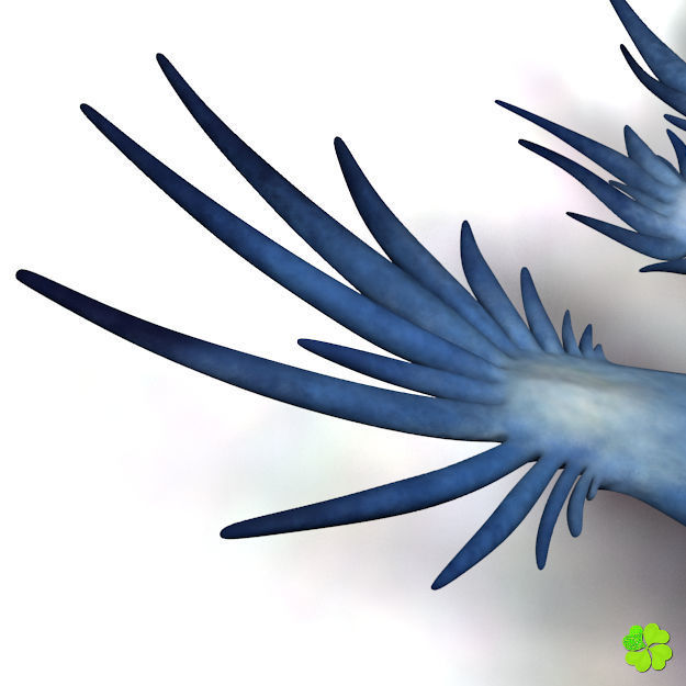 Glaucus atlanticus low poly Low-poly 3D model_10
