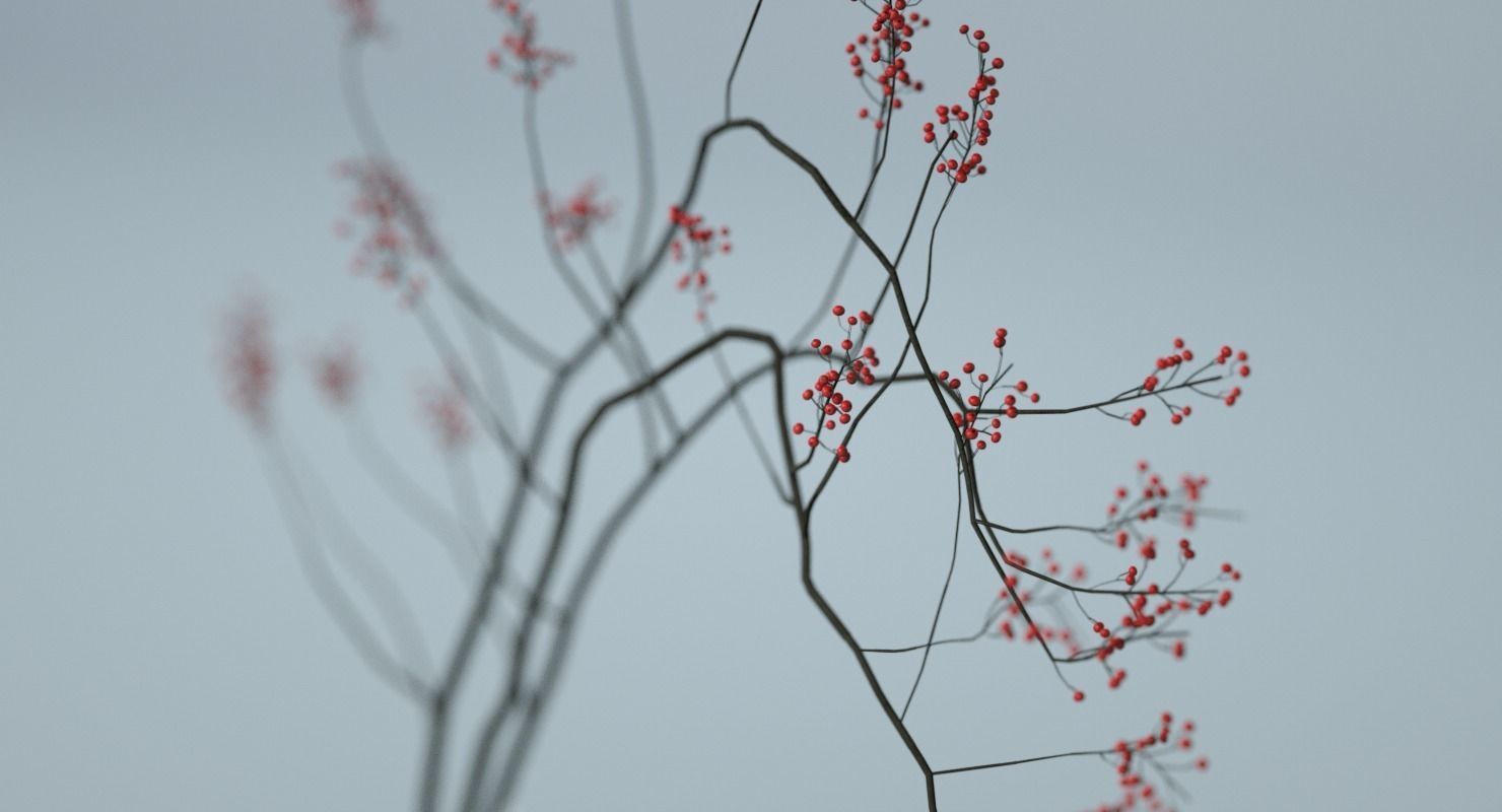 Minimalistic Ceramic  Vase Set  3D model_4