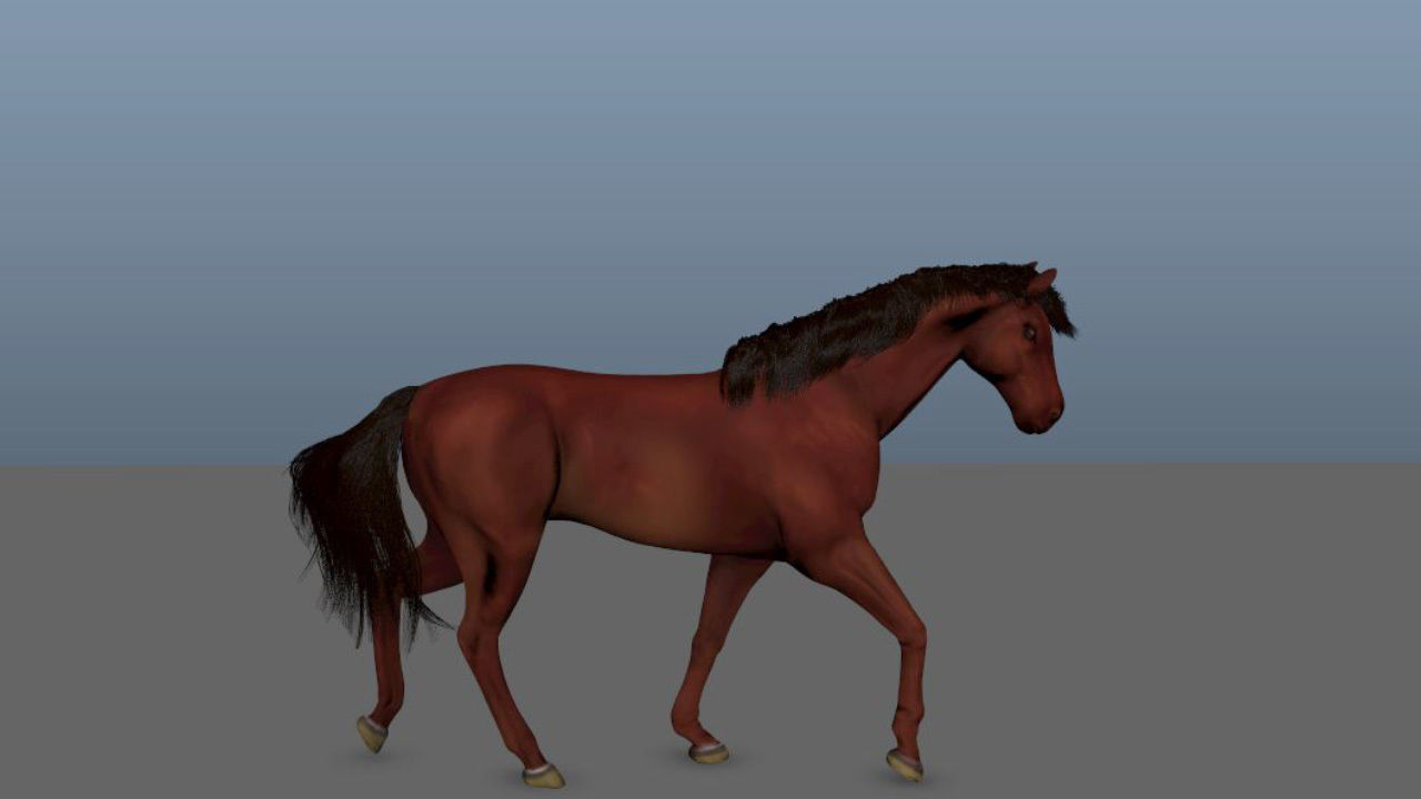 Animated Horse 3D model_3
