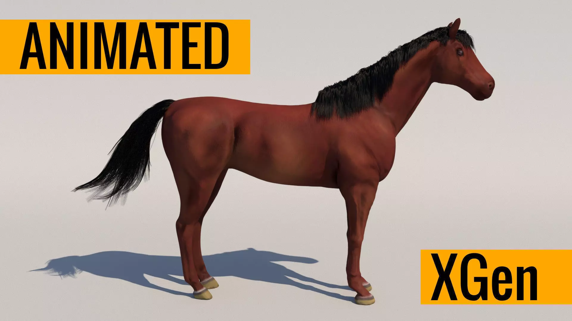 Animated Horse 3D model_0
