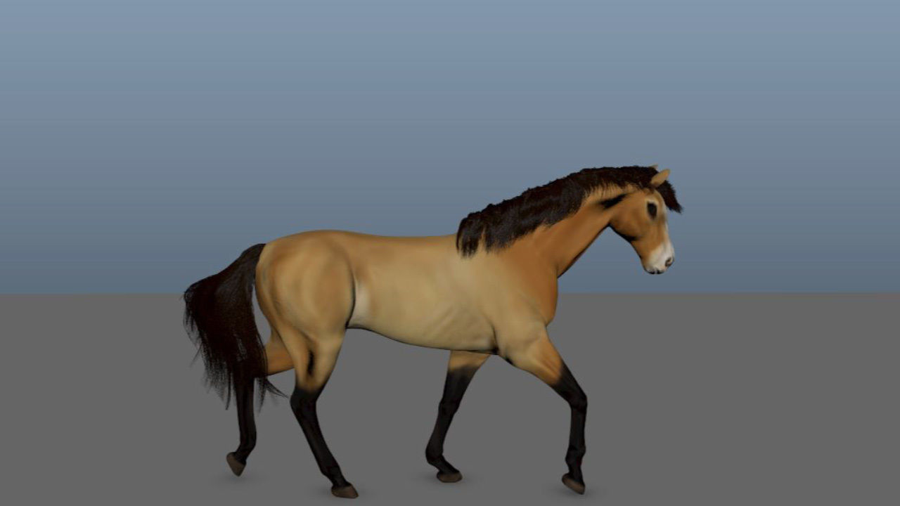 Animated Horse 3D model_5