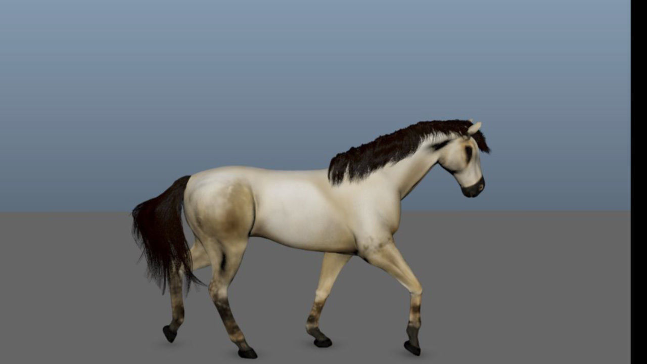 Animated Horse 3D model_4
