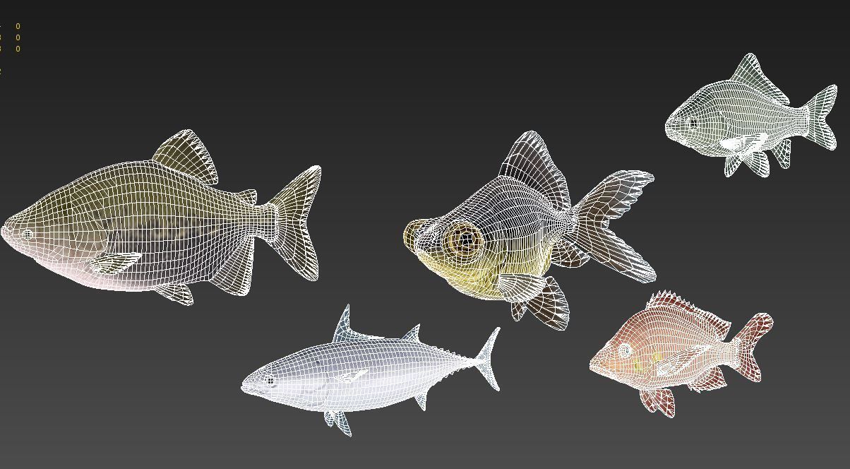 Fish Collection 02 Low-poly 3D model_12