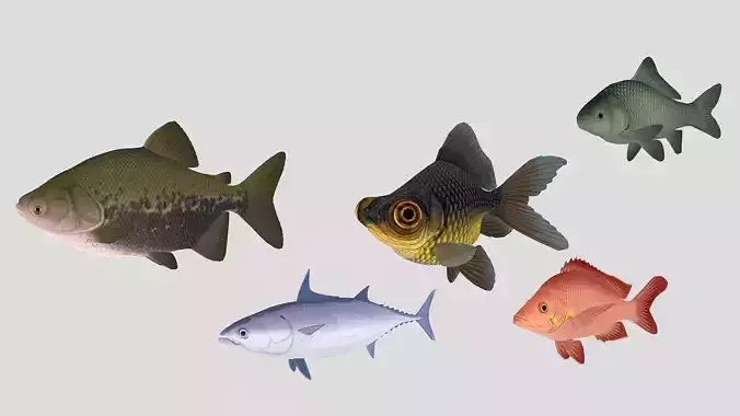  Fish Collection 02 Low-poly 3D model