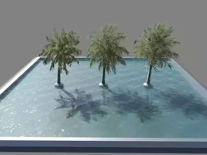 Palm pool  3D model