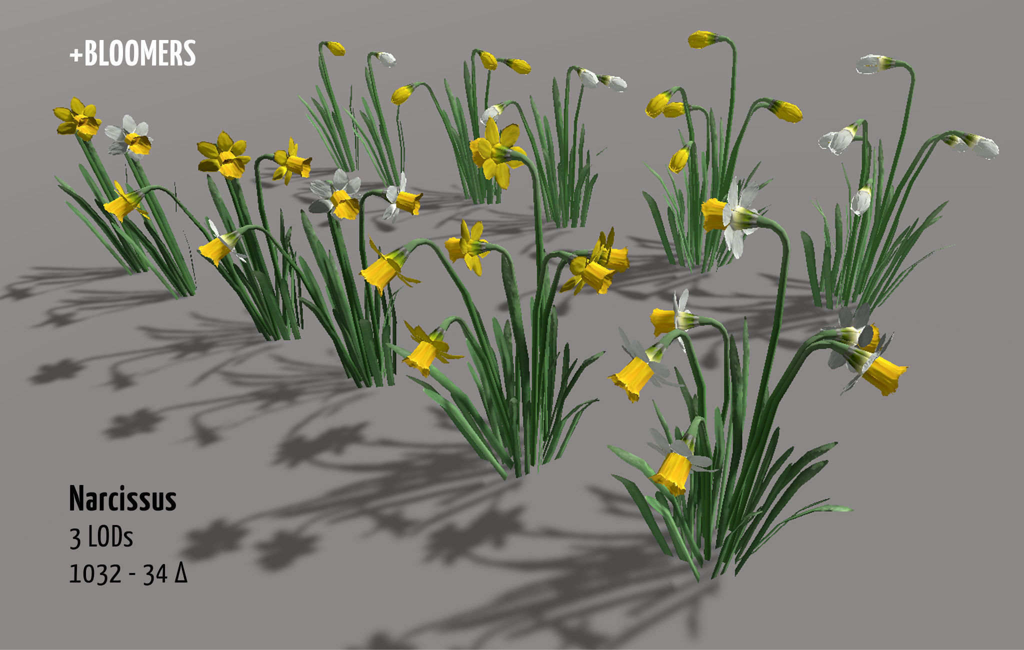 Garden Flowers and Herbs 2 Low-poly 3D model_3
