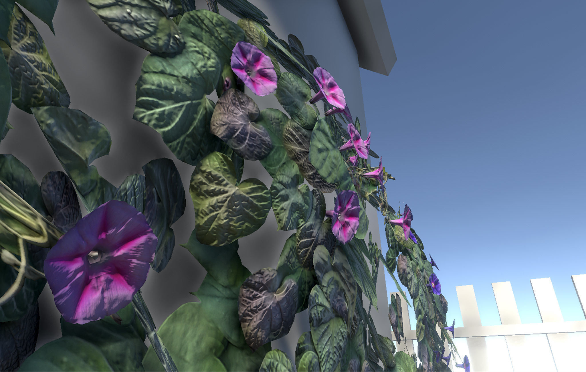 Garden Flowers and Herbs 2 Low-poly 3D model_8