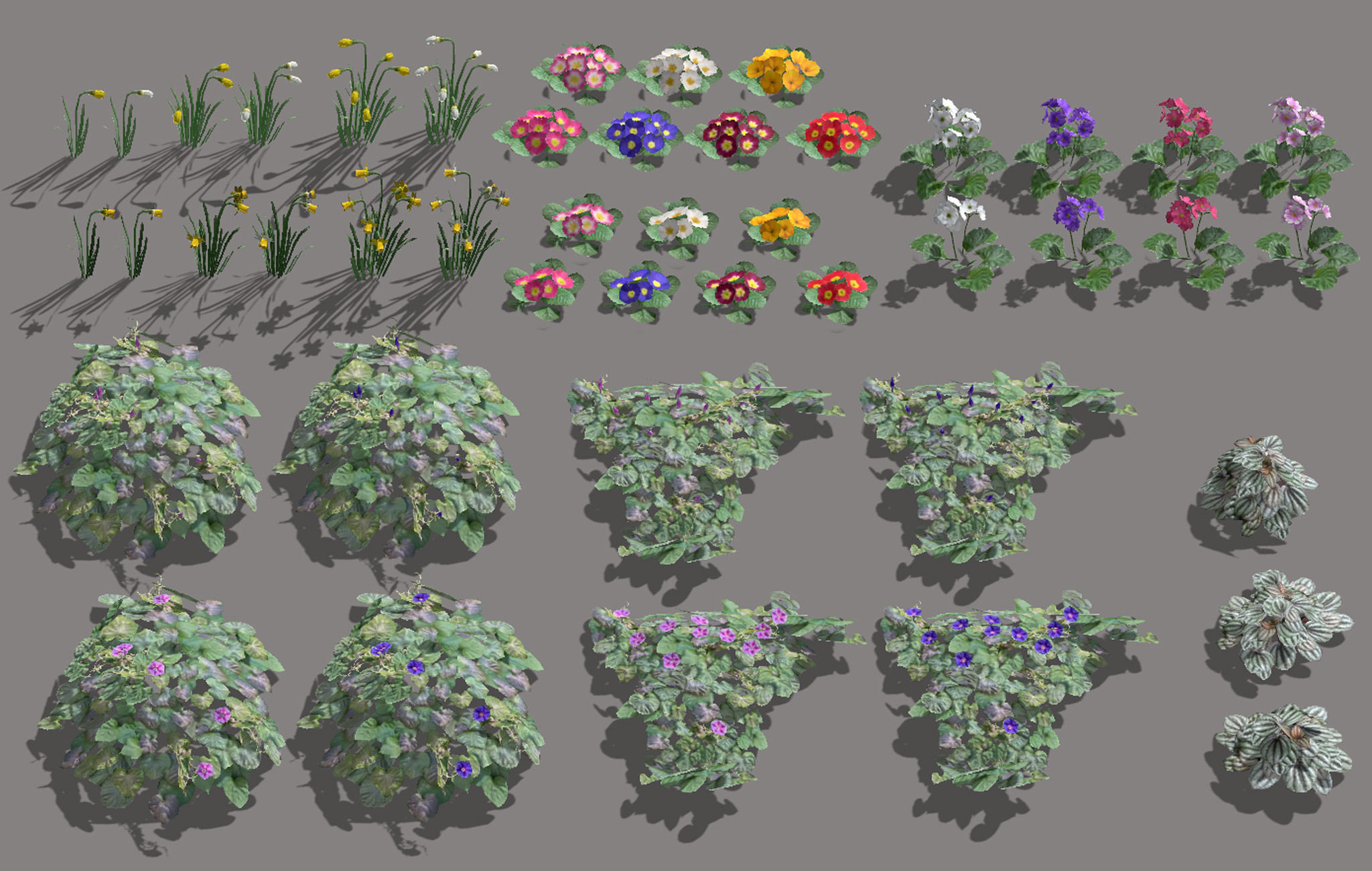 Garden Flowers and Herbs 2 Low-poly 3D model_2