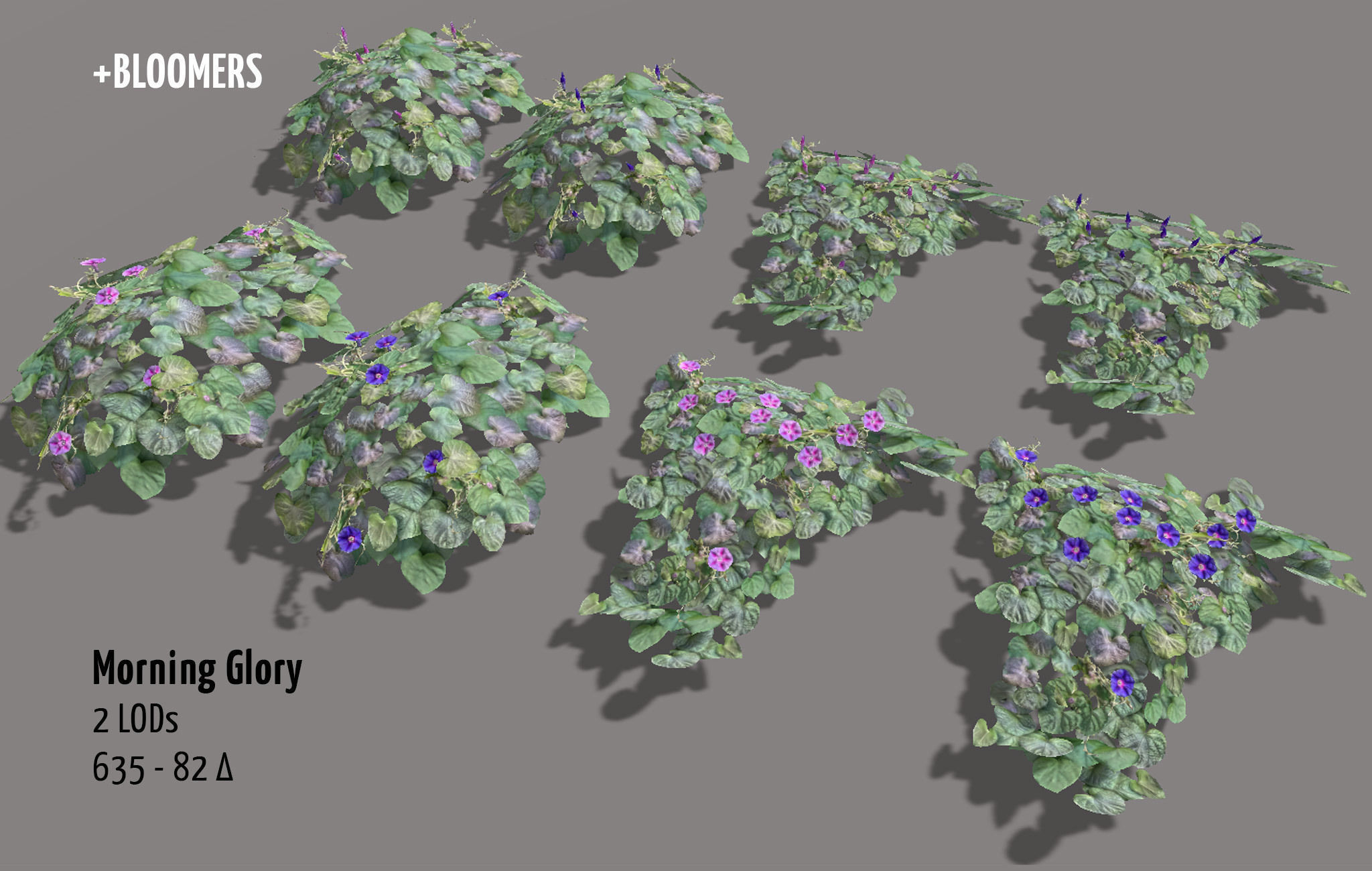 Garden Flowers and Herbs 2 Low-poly 3D model_7