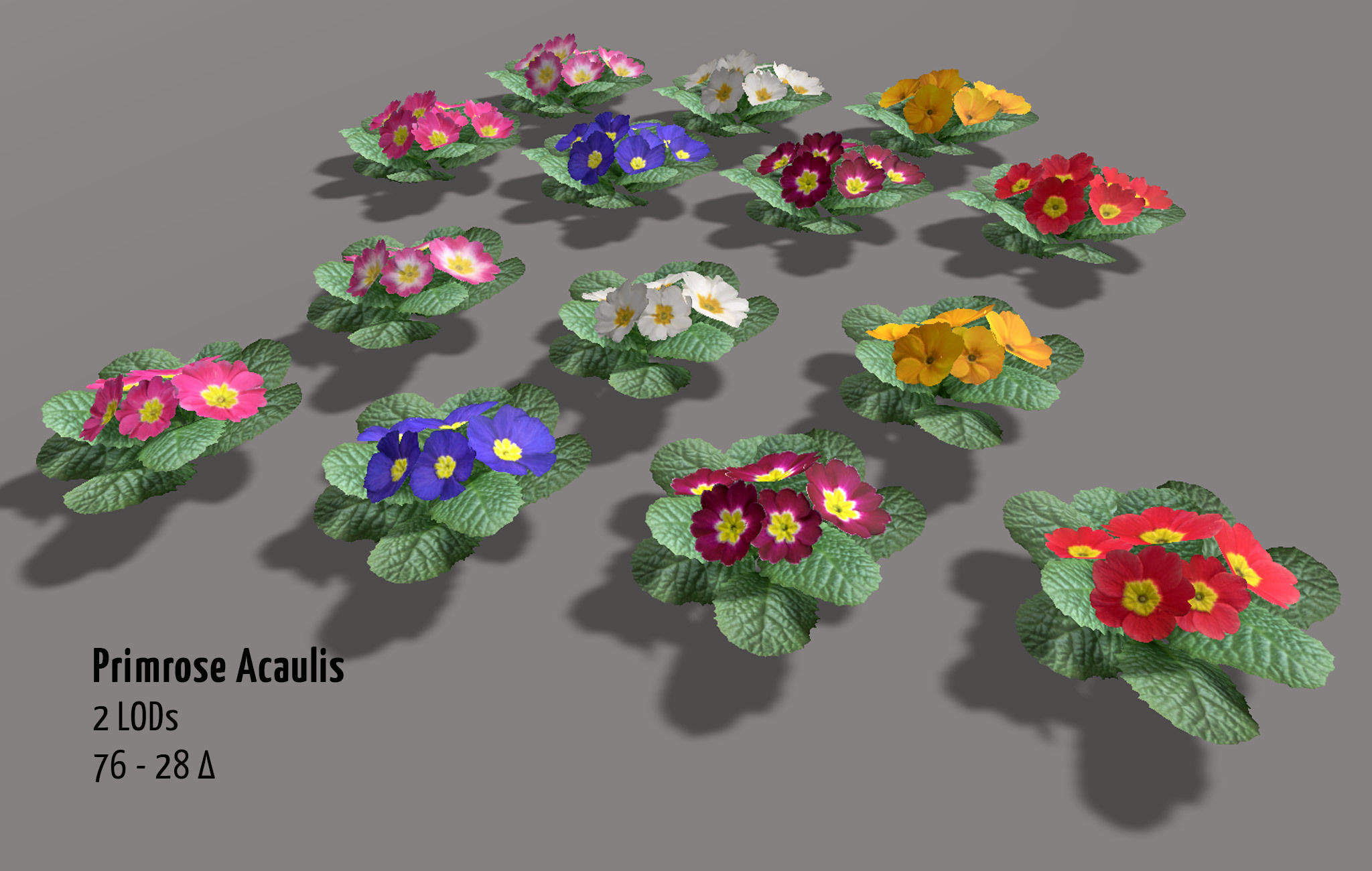 Garden Flowers and Herbs 2 Low-poly 3D model_4