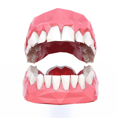Teeth Low Poly Low-poly 3D model