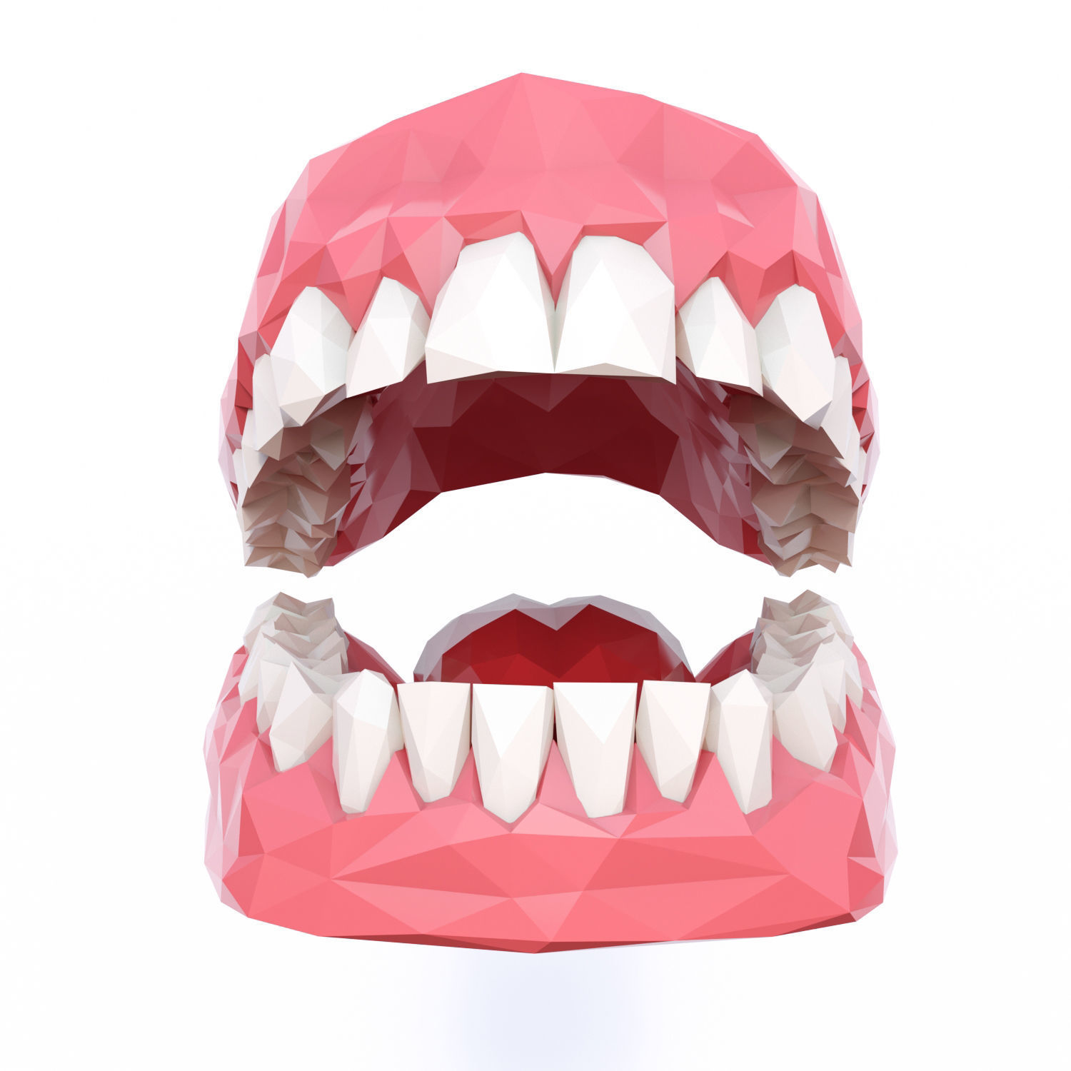 Teeth Low Poly Low-poly 3D model_0