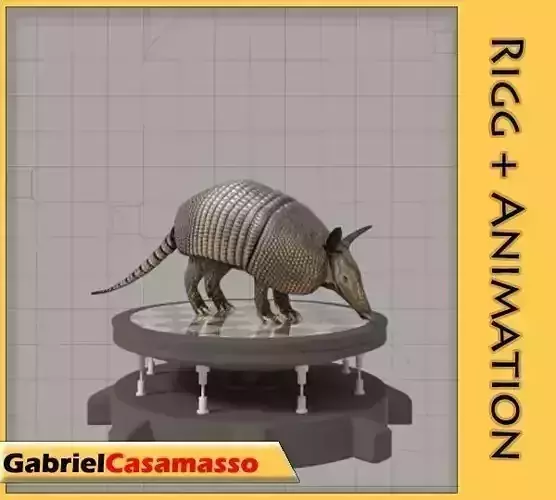 Armadillo