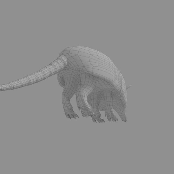 Armadillo Low-poly 3D model_5