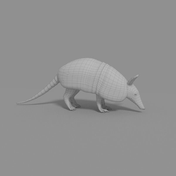 Armadillo Low-poly 3D model_4