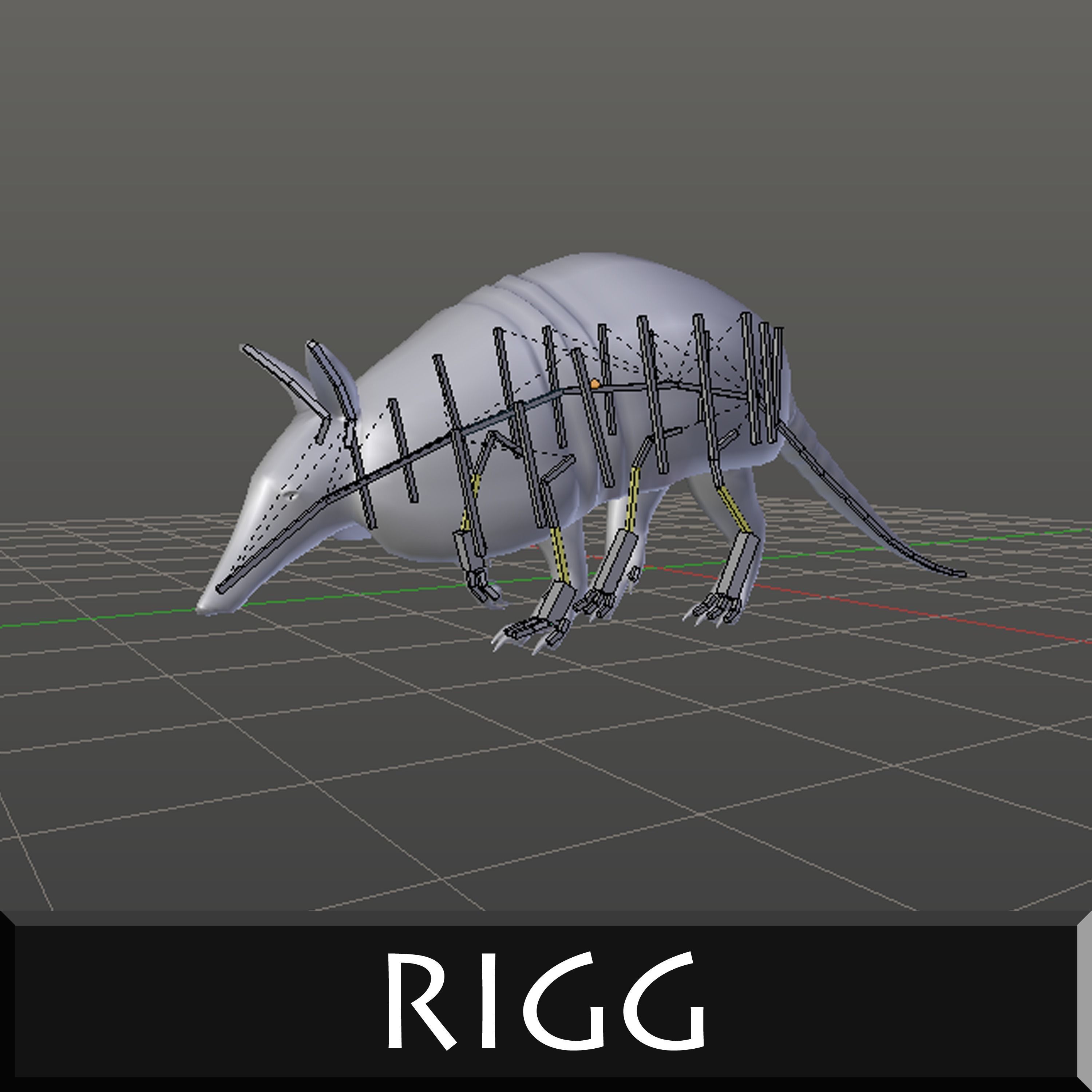 Armadillo Low-poly 3D model_7