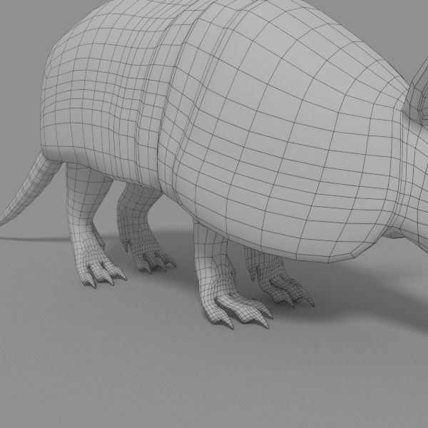 Armadillo Low-poly 3D model_3