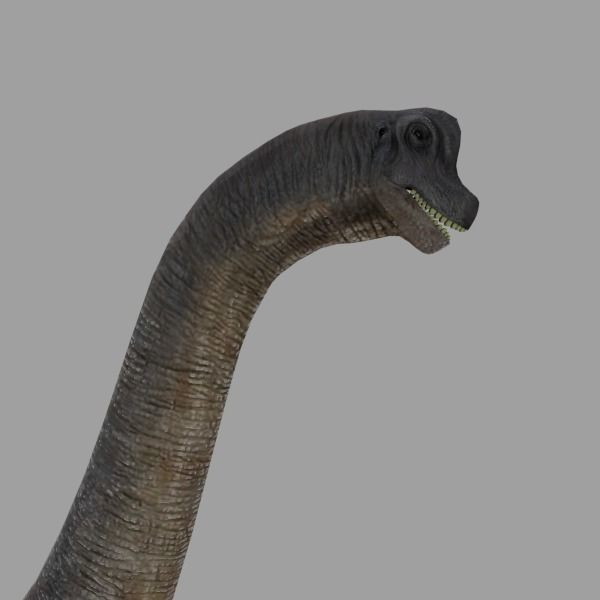 Brachiosaur Low-poly 3D model_2