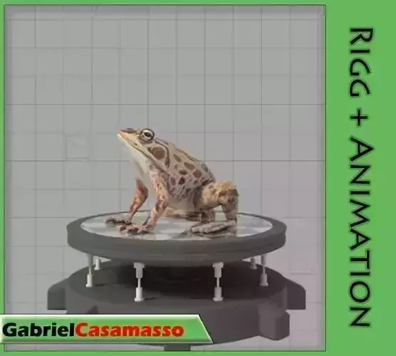 Common Frog Low-poly 3D model