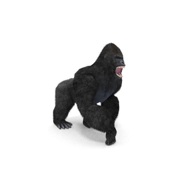 Gorilla Low-poly 3D model_5