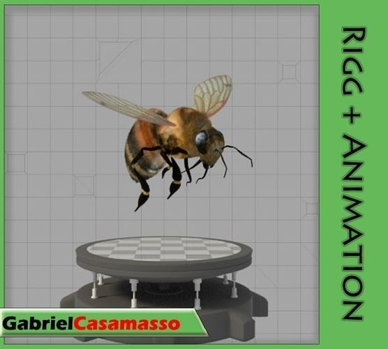 Honey Bee Low-poly 3D model