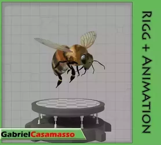 Honey Bee Low-poly 3D model