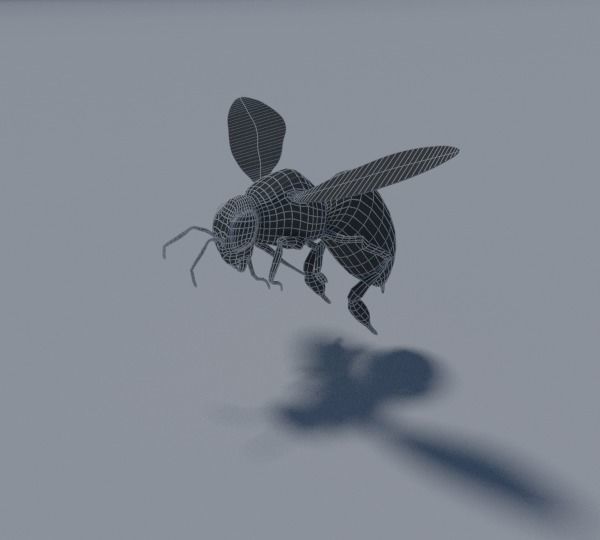 Honey Bee Low-poly 3D model_4