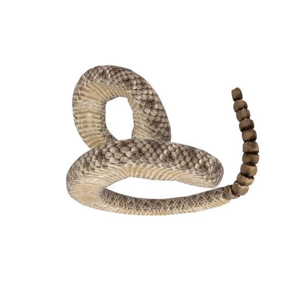 Rattlesnake Low-poly 3D model_4