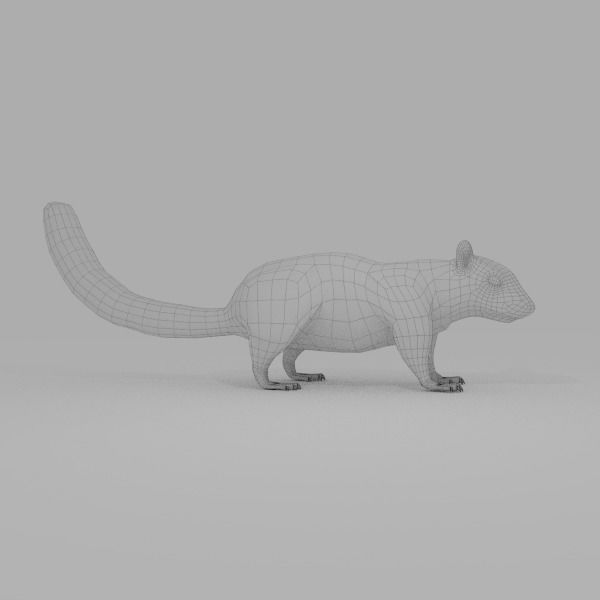 Squirrel on platform Low-poly 3D model_4