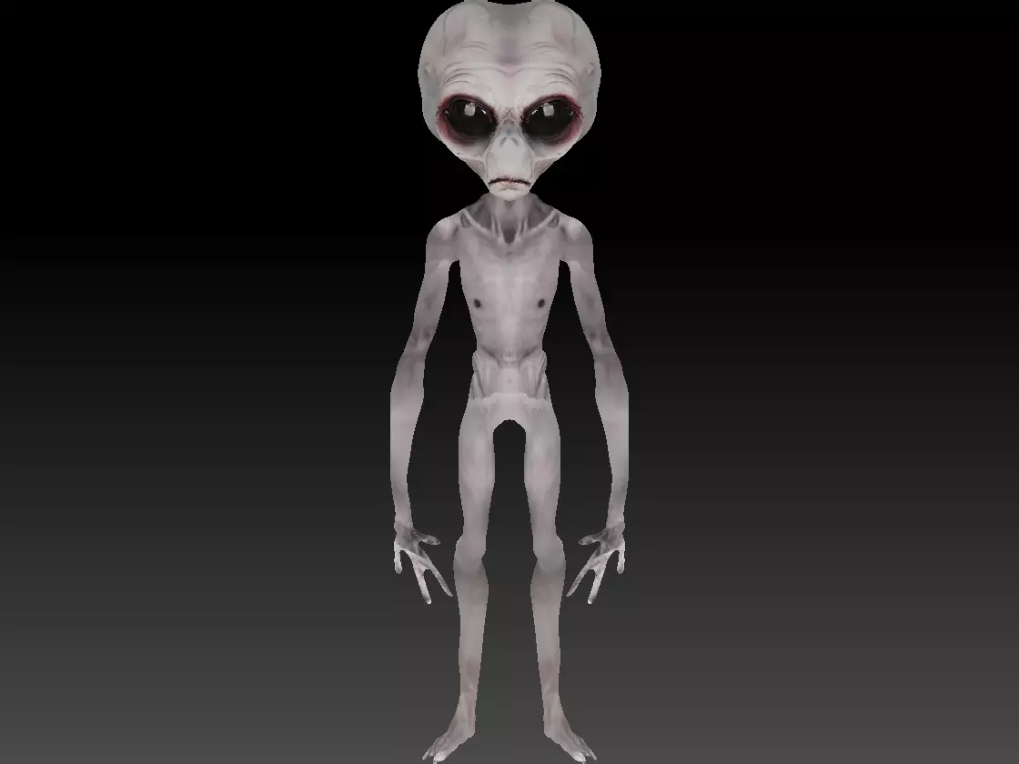 Grey Alien - Area 51 Low-poly 3D model_0