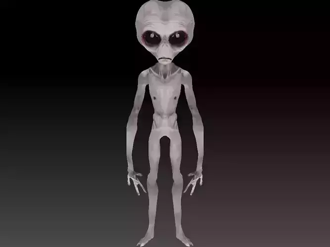 Grey Alien - Area 51 Low-poly 3D model
