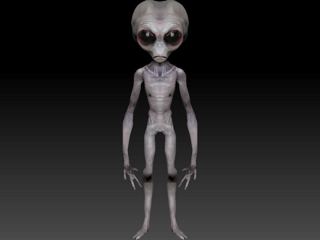 Grey Alien - Area 51 Low-poly 3D model_2