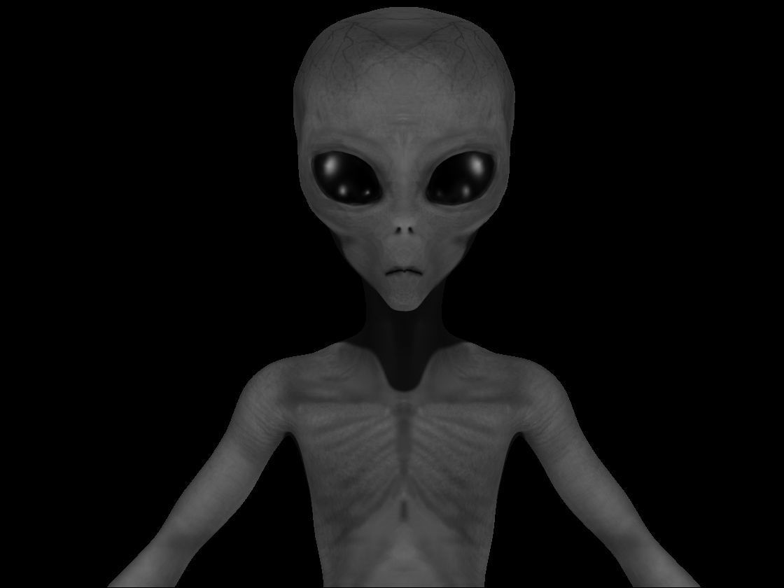 Grey Alien - Zeta Reticulian 3D - OBJ-FBX Low-poly 3D model_2