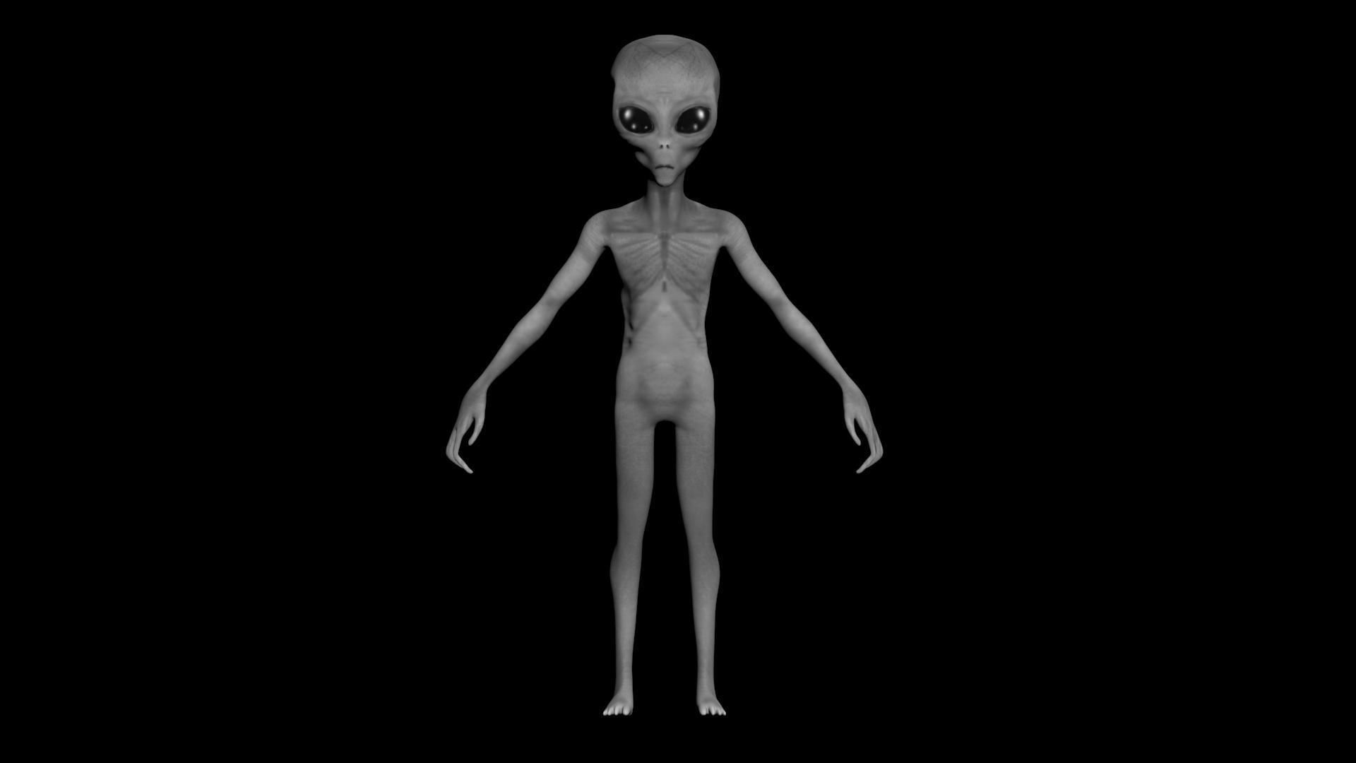 Grey Alien - Zeta Reticulian 3D - OBJ-FBX Low-poly 3D model_1