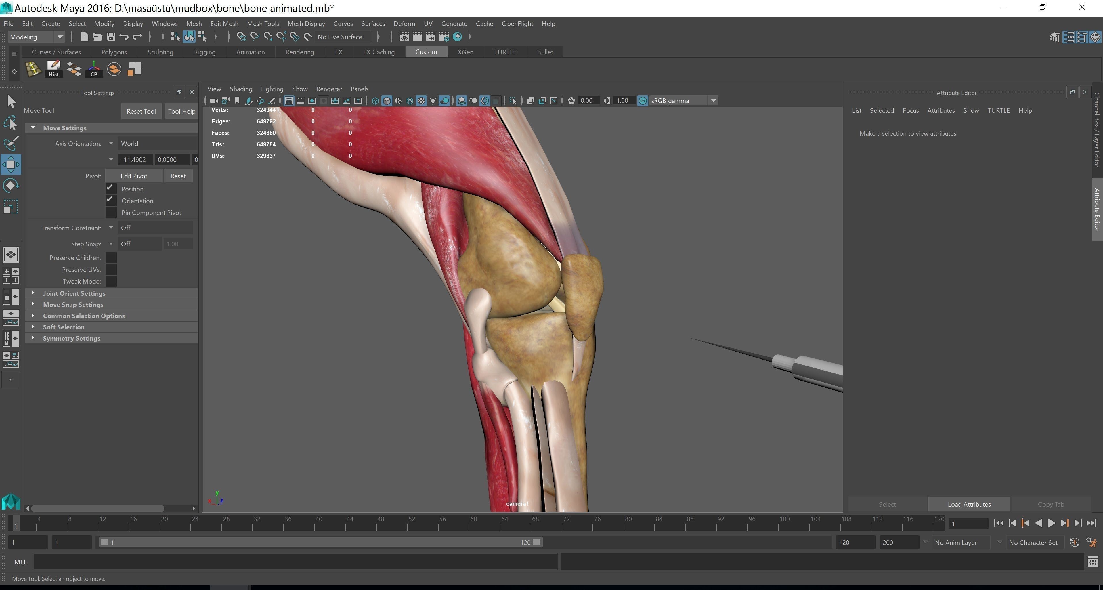 legs animation meniscus animation  3D model_3