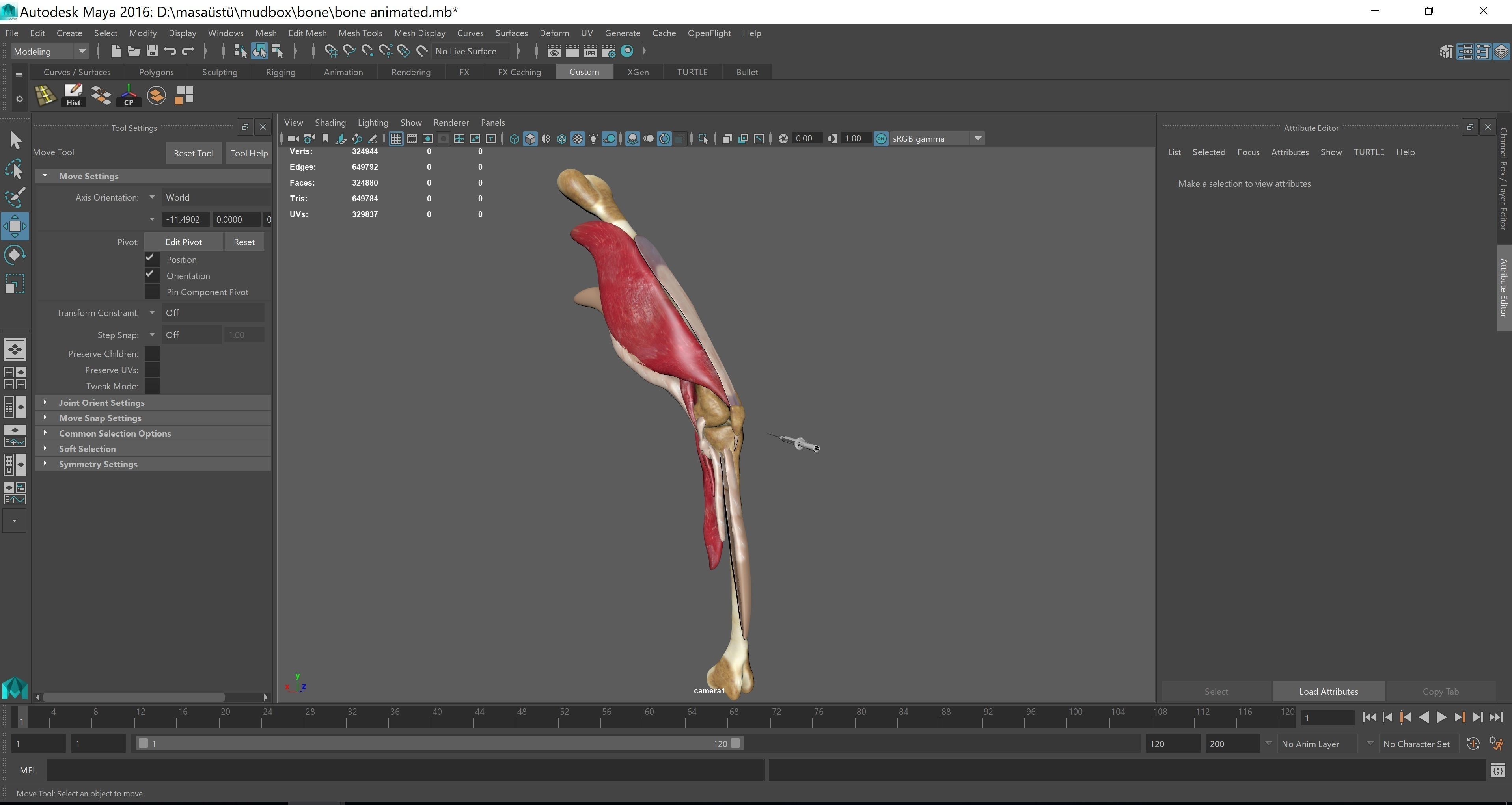 legs animation meniscus animation  3D model_1