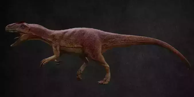Allosaurus dinosaur